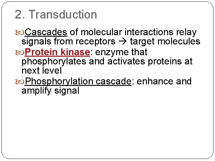 2. Transduction Cascades of molecular interactions relay signals from receptors target molecules Protein kinase: