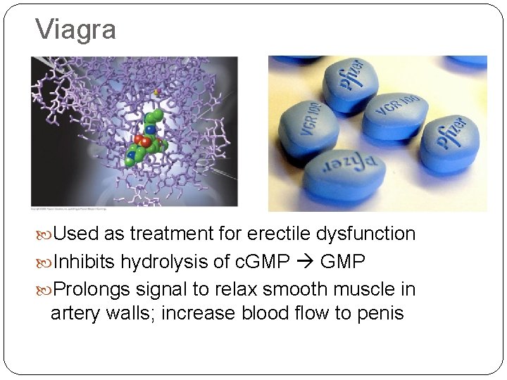 Viagra Used as treatment for erectile dysfunction Inhibits hydrolysis of c. GMP Prolongs signal