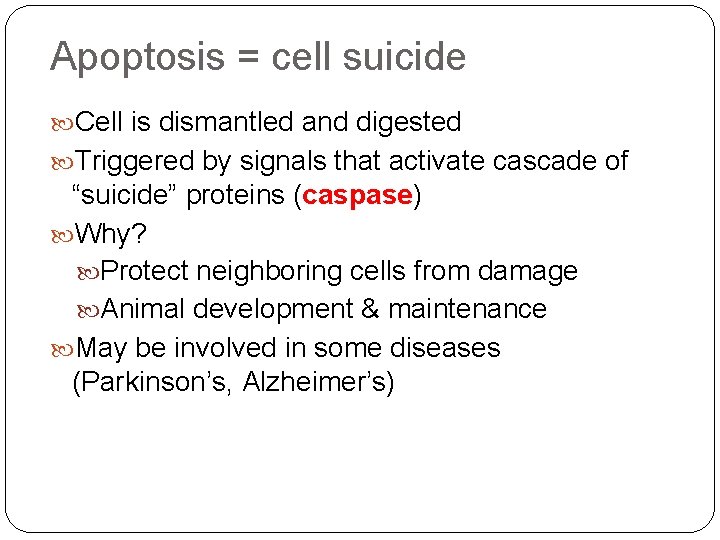 Apoptosis = cell suicide Cell is dismantled and digested Triggered by signals that activate
