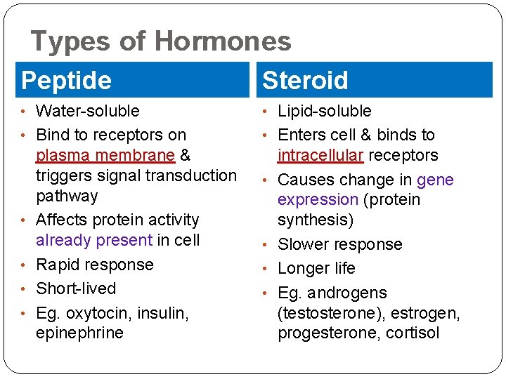 Types of Hormones Peptide Steroid • Water-soluble • Lipid-soluble • Bind to receptors on