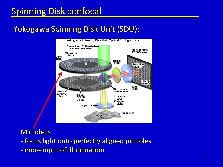 Spinning Disk confocal Yokogawa Spinning Disk Unit (SDU): Microlens - focus light onto perfectly
