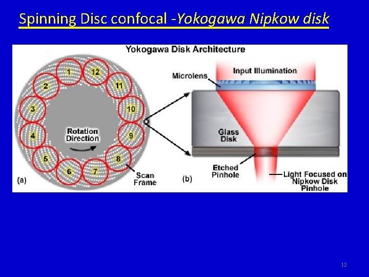 Spinning Disc confocal -Yokogawa Nipkow disk 12 