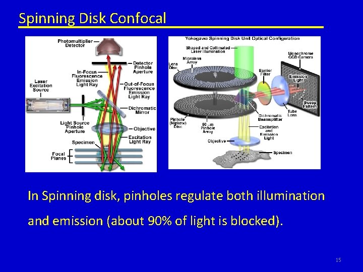 Spinning Disk Confocal In Spinning disk, pinholes regulate both illumination and emission (about 90%
