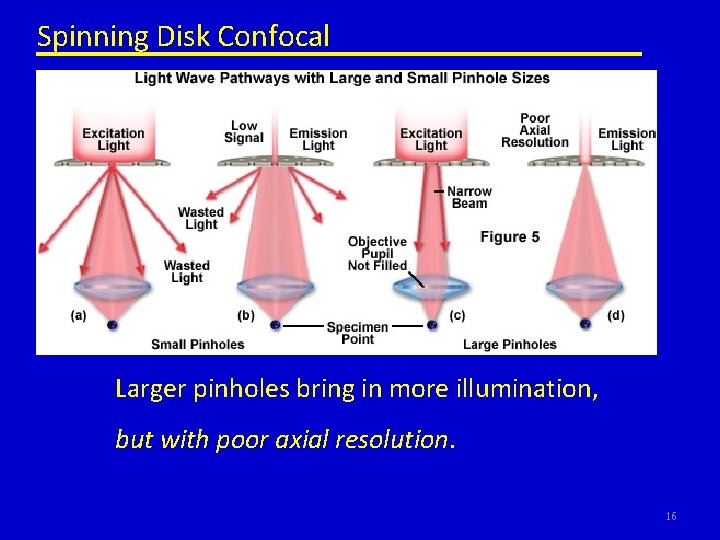 Spinning Disk Confocal Larger pinholes bring in more illumination, but with poor axial resolution.