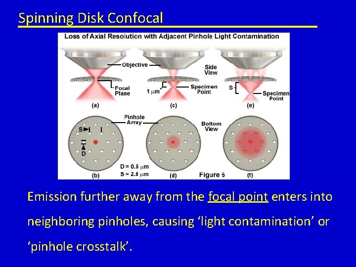 Spinning Disk Confocal Emission further away from the focal point enters into neighboring pinholes,