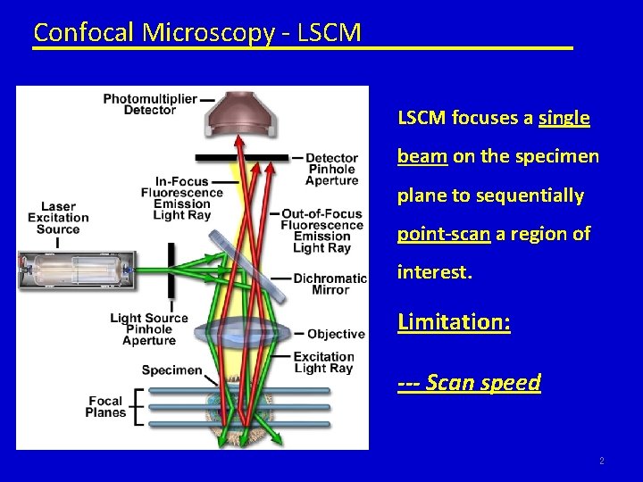Confocal Microscopy - LSCM focuses a single beam on the specimen plane to sequentially