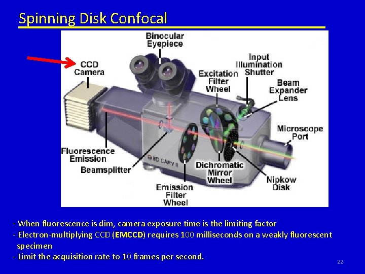 Spinning Disk Confocal - When fluorescence is dim, camera exposure time is the limiting