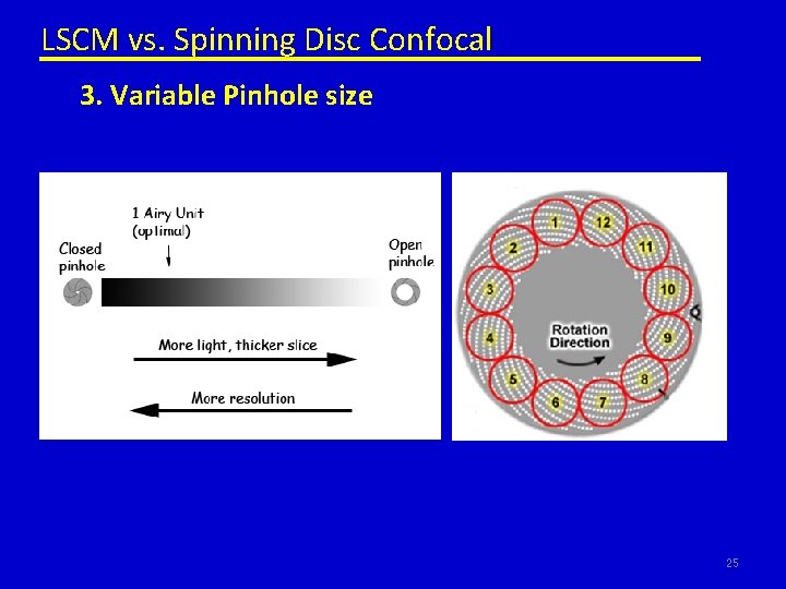 LSCM vs. Spinning Disc Confocal 3. Variable Pinhole size 25 