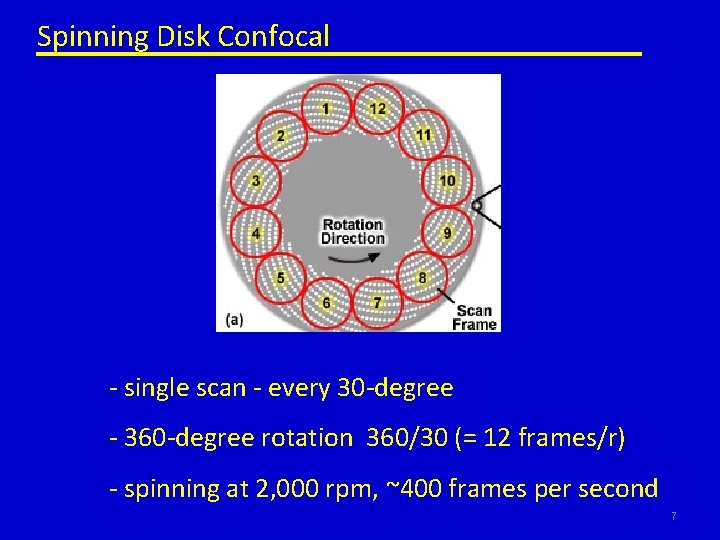 Spinning Disk Confocal - single scan - every 30 -degree - 360 -degree rotation