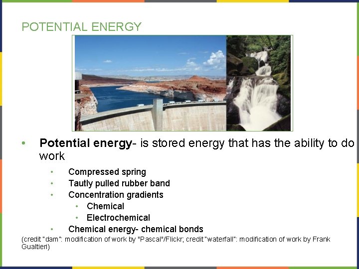 POTENTIAL ENERGY • Potential energy- is stored energy that has the ability to do