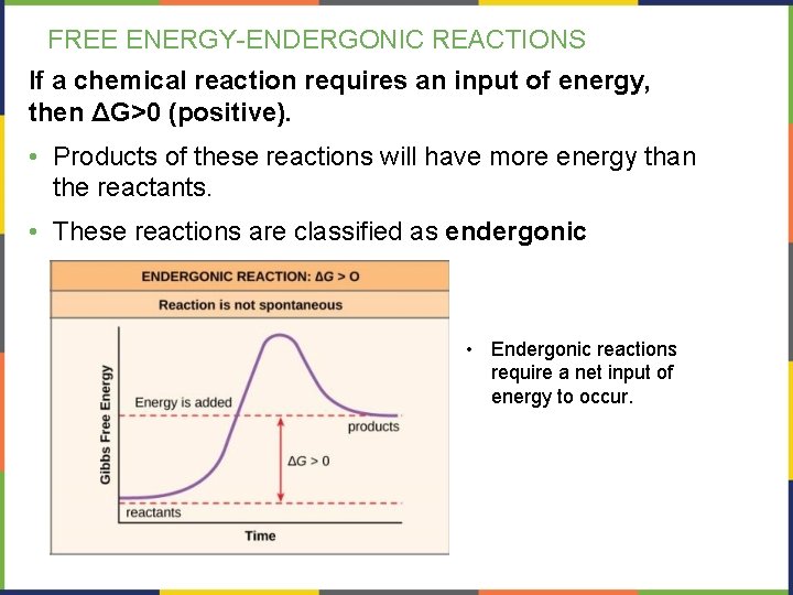FREE ENERGY-ENDERGONIC REACTIONS If a chemical reaction requires an input of energy, then ΔG>0