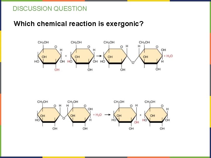 DISCUSSION QUESTION Which chemical reaction is exergonic? 