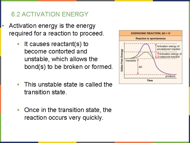 6. 2 ACTIVATION ENERGY • Activation energy is the energy required for a reaction