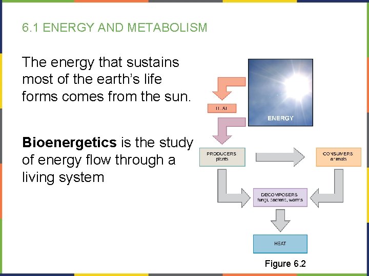 6. 1 ENERGY AND METABOLISM The energy that sustains most of the earth’s life