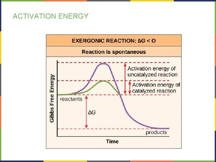 ACTIVATION ENERGY 