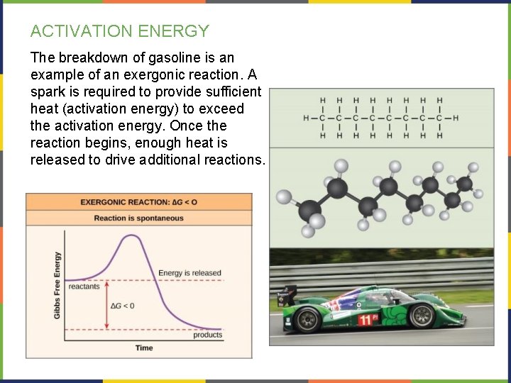 ACTIVATION ENERGY The breakdown of gasoline is an example of an exergonic reaction. A
