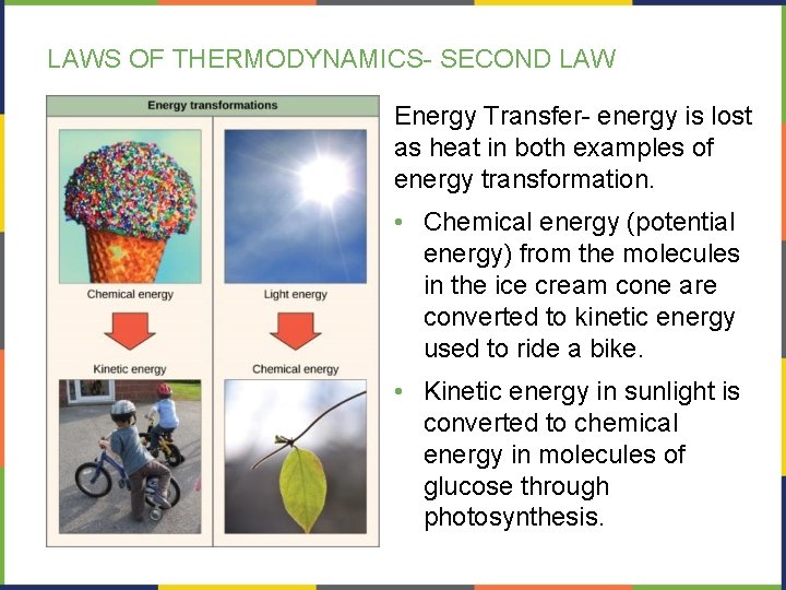 LAWS OF THERMODYNAMICS- SECOND LAW Energy Transfer- energy is lost as heat in both