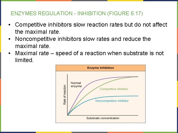 ENZYMES REGULATION - INHIBITION (FIGURE 6. 17) • Competitive inhibitors slow reaction rates but