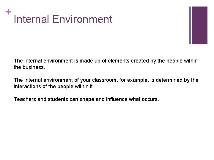 + Internal Environment The internal environment is made up of elements created by the