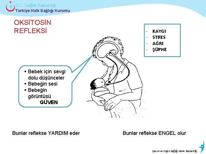 T. C. Sağlık Bakanlığı Türkiye Halk Sağlığı Kurumu OKSİTOSİN REFLEKSİ · · KAYGI STRES