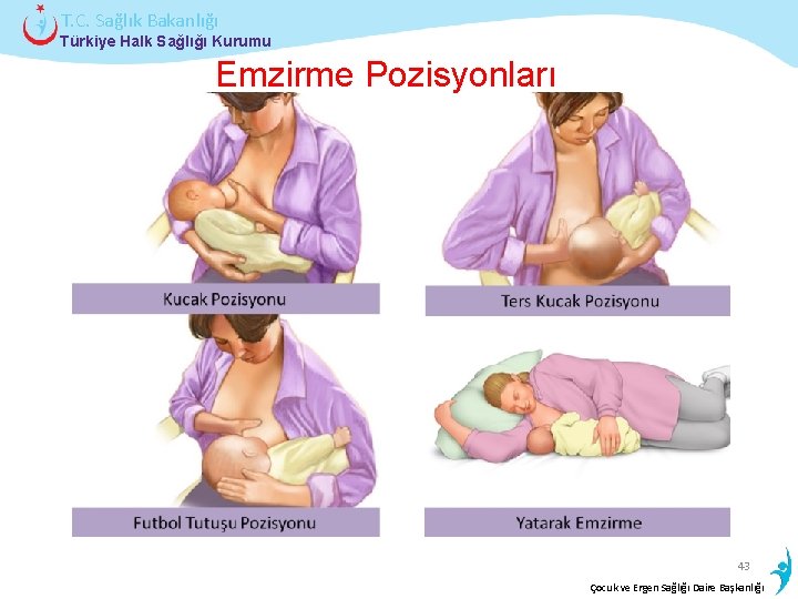 T. C. Sağlık Bakanlığı Türkiye Halk Sağlığı Kurumu Emzirme Pozisyonları 43 İstatistik Çocukveve. Bilgi
