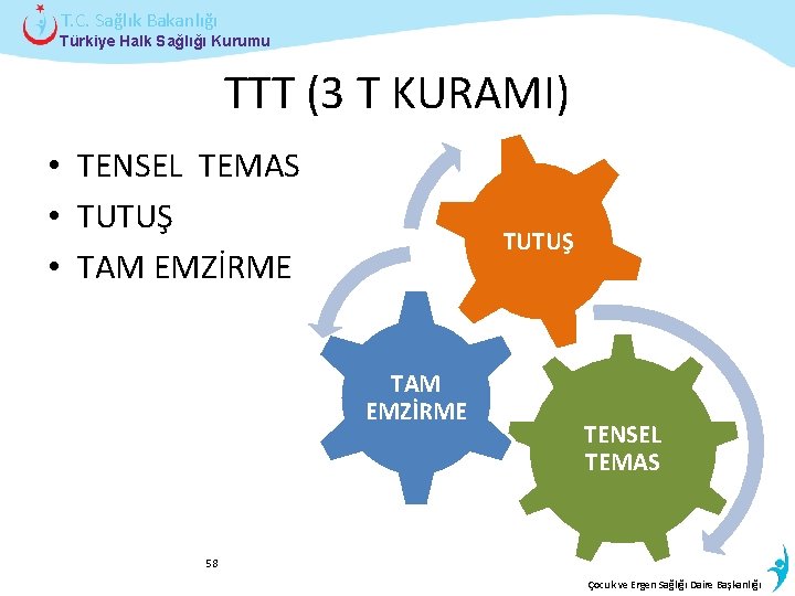 T. C. Sağlık Bakanlığı Türkiye Halk Sağlığı Kurumu TTT (3 T KURAMI) • TENSEL