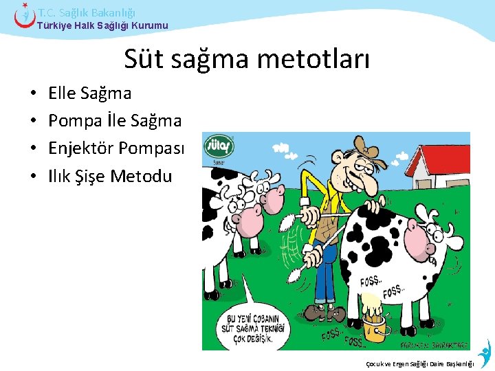 T. C. Sağlık Bakanlığı Türkiye Halk Sağlığı Kurumu Süt sağma metotları • • Elle