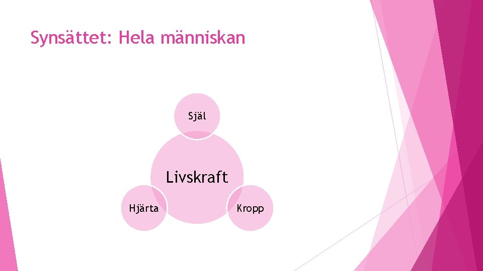 Synsättet: Hela människan Själ Livskraft Hjärta Kropp 