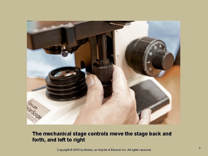 Veterinary Practice Laboratory Unit 1 Chapter 3 The