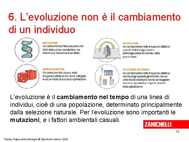 6. L’evoluzione non è il cambiamento di un individuo L’evoluzione è il cambiamento nel