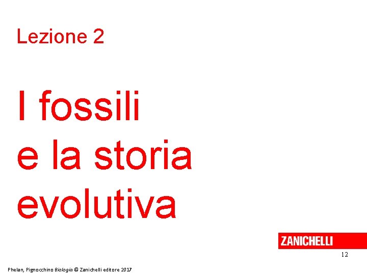 Lezione 2 I fossili e la storia evolutiva 12 Phelan, Pignocchino Biologia © Zanichelli