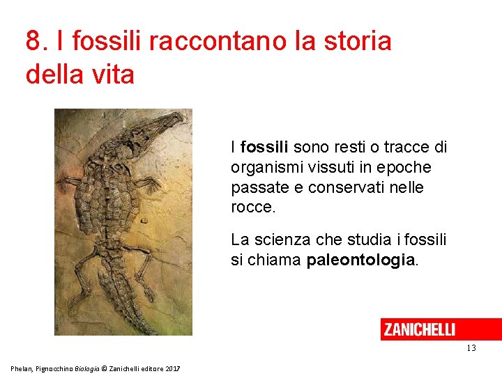 8. I fossili raccontano la storia della vita I fossili sono resti o tracce