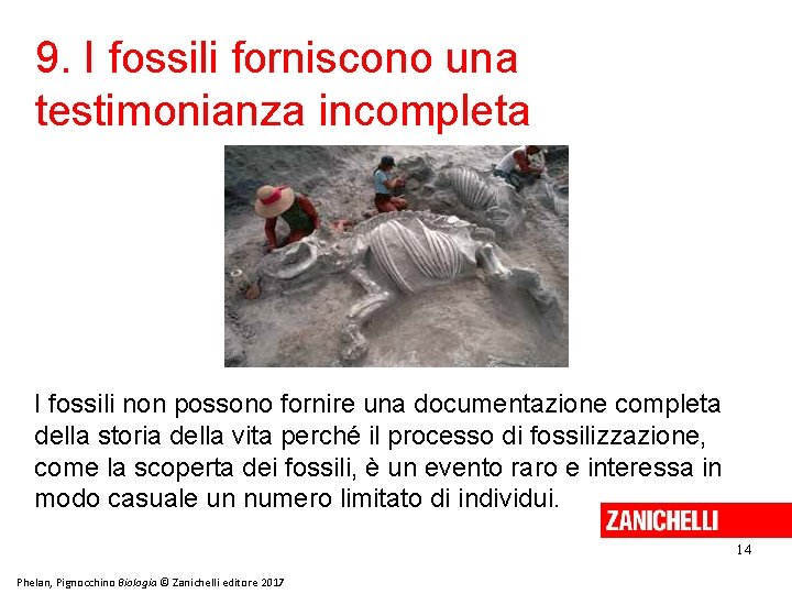 9. I fossili forniscono una testimonianza incompleta I fossili non possono fornire una documentazione