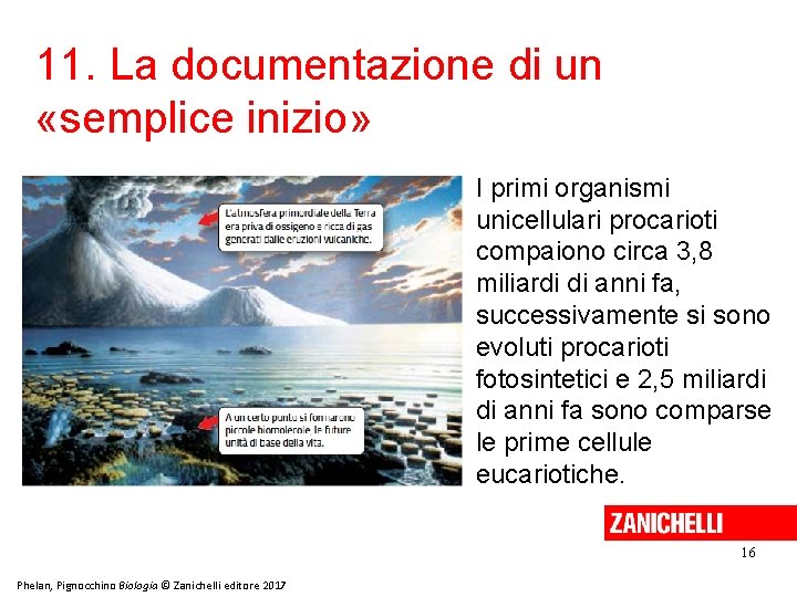 11. La documentazione di un «semplice inizio» I primi organismi unicellulari procarioti compaiono circa