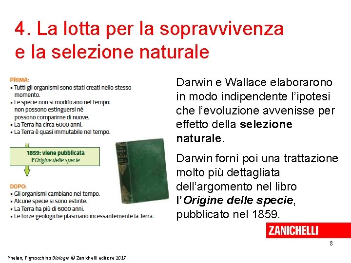 4. La lotta per la sopravvivenza e la selezione naturale Darwin e Wallace elaborarono