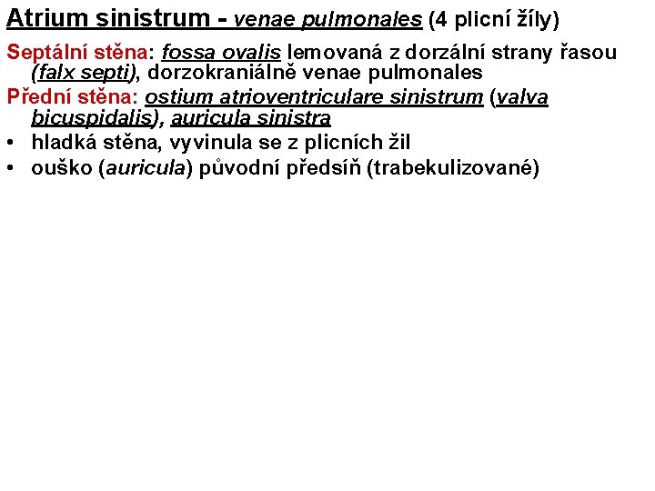 Atrium sinistrum - venae pulmonales (4 plicní žíly) Septální stěna: fossa ovalis lemovaná z