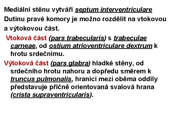 Mediální stěnu vytváří septum interventriculare Dutinu pravé komory je možno rozdělit na vtokovou a