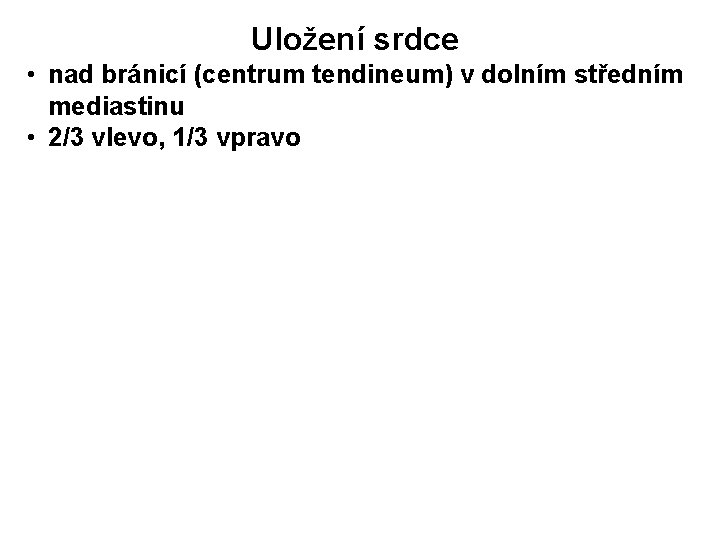 Uložení srdce • nad bránicí (centrum tendineum) v dolním středním mediastinu • 2/3 vlevo,