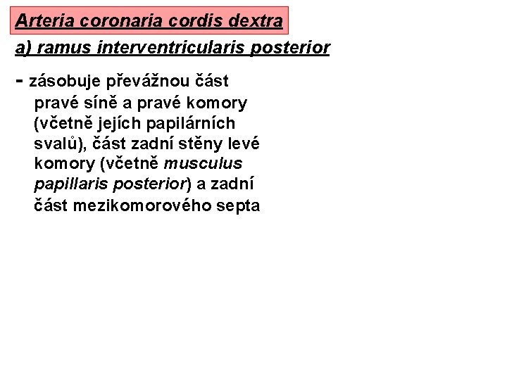 Arteria coronaria cordis dextra a) ramus interventricularis posterior - zásobuje převážnou část pravé síně