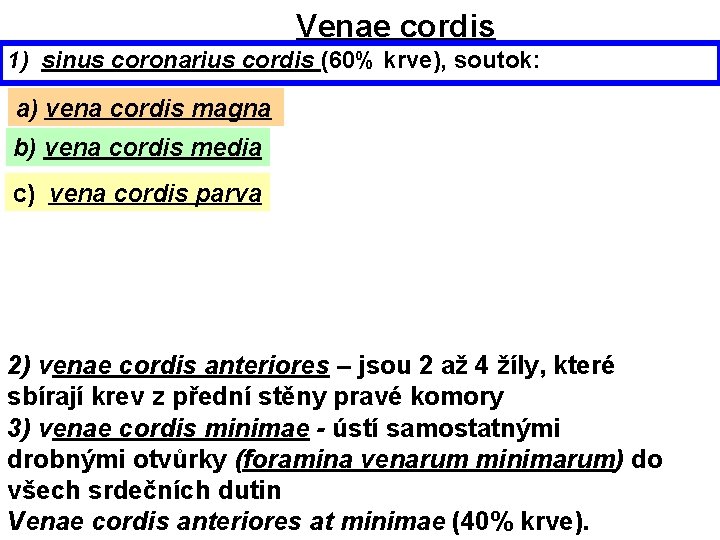 Venae cordis 1) sinus coronarius cordis (60% krve), soutok: a) vena cordis magna b)