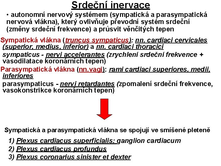 Srdeční inervace • autonomní nervový systémem (sympatická a parasympatická nervová vlákna), který ovlivňuje převodní