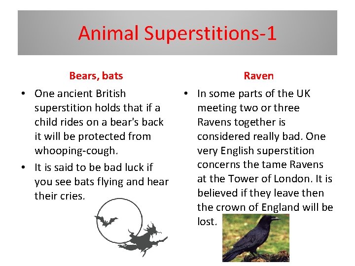 Animal Superstitions-1 Bears, bats Raven • One ancient British superstition holds that if a