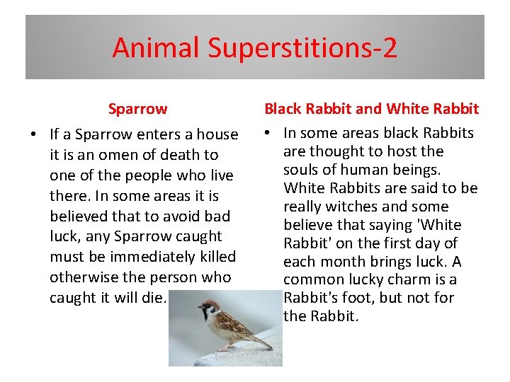 Animal Superstitions-2 Sparrow • If a Sparrow enters a house it is an omen