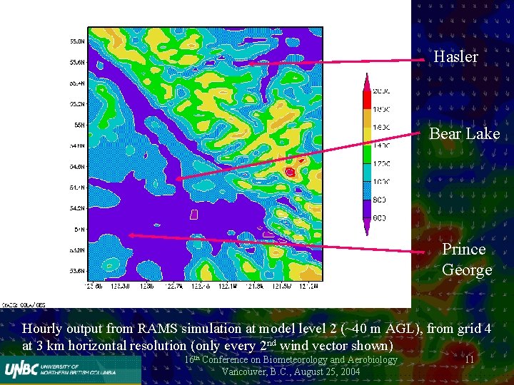 Hasler Bear Lake Prince George Hourly output from RAMS simulation at model level 2