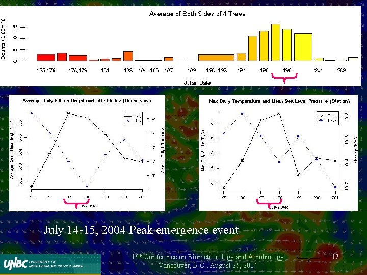 July 14 -15, 2004 Peak emergence event 16 th Conference on Biometeorology and Aerobiology