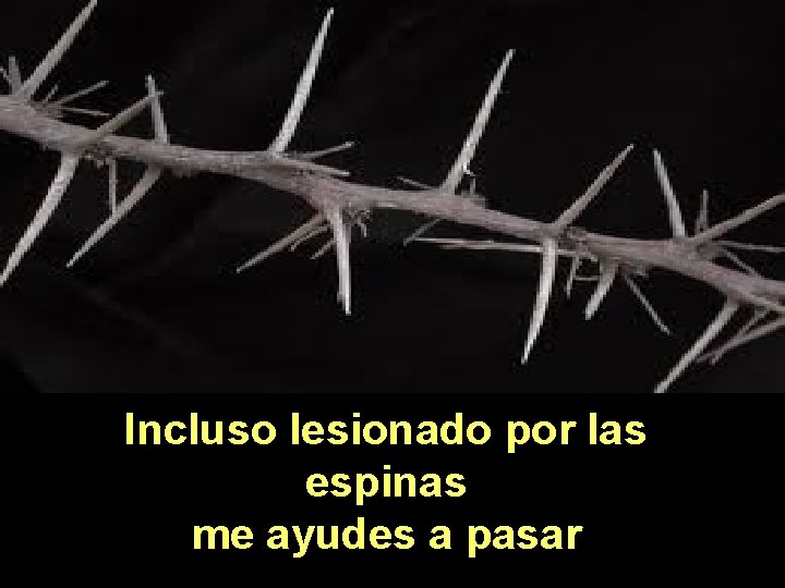 Incluso lesionado por las espinas me ayudes a pasar 