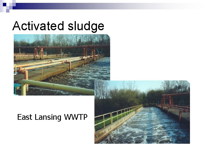 Activated sludge East Lansing WWTP 