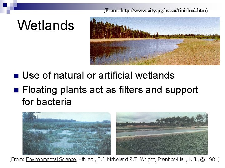(From: http: //www. city. pg. bc. ca/finished. htm) Wetlands Use of natural or artificial
