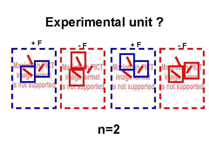 Experimental unit ? +F -F +F What is our per treatment sample n=2 size?