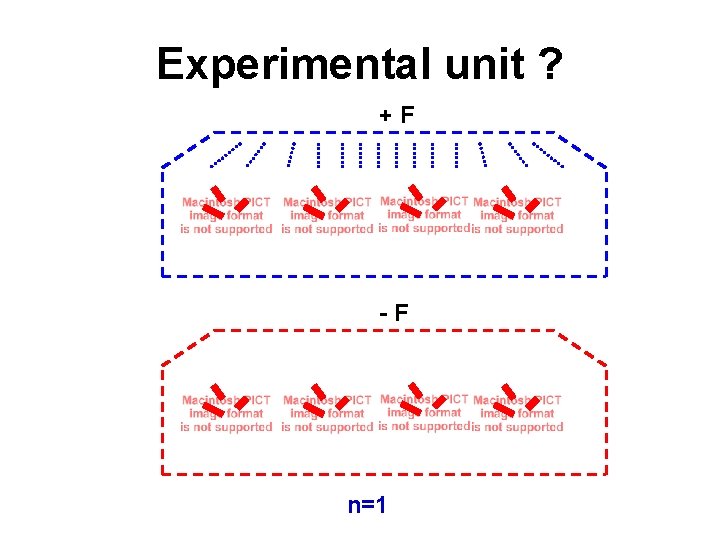 Experimental unit ? +F -F n=1 